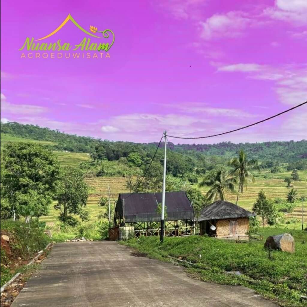 Nuansa Alam Agroeduwisata